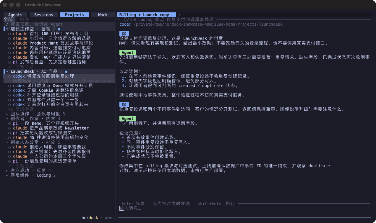 Projects 界面：按工作目录整理项目和关联会话